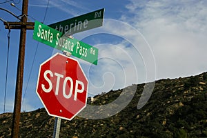 Santa Susana Pass Road Street Sign