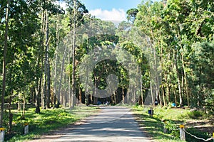 Santa Teresa National Park, Rocha, Uruguay photo