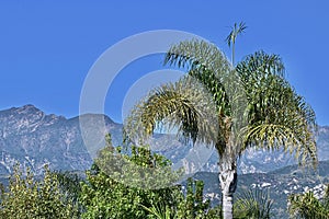 Santa Ynez Mountains passing through Carpinteria California 3