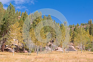 SantaFe National Forest Cliff