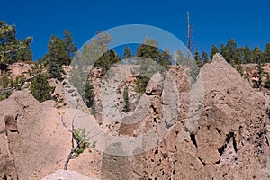 SantaFe National Forest Landscape