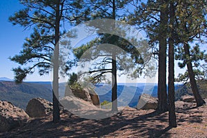 SantaFe National Forest Overlook photo