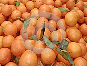 Santang orange fruit tastes sweet and is usually used for big chinese new year celebrations