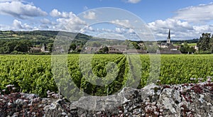 Santenay Church, Wall and Vineyard, France