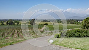 Santiago, Chile - 25 Nov, 2023: Haras de Pirque Vineyard and winery, near Santiago, Chile