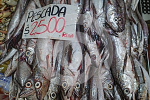 Santiago, Chile - 26 Nov, 2023: Fresh Fish and Seafood on sale at Santiago Central Market