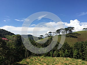 Santo Antonio do Pinhal