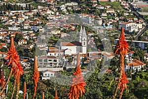 Santo AntÃ³nio Funchal, Madeira, Portugal.