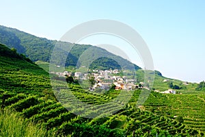 Santo Stefano in the Valdobbiadene prosecco region