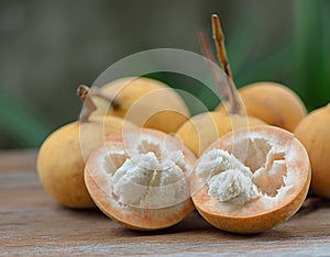 Santol fruit the famous fruit of Thailand and seasonal fruit