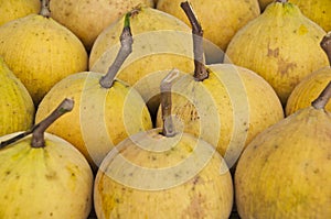 Santol fruit the wild mangosteen