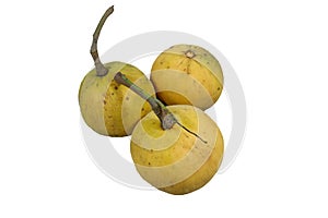 Santol-meliaceae fruit isolated