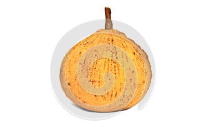 Santol, tropical fruit