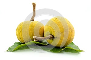 Santol, tropical fruit