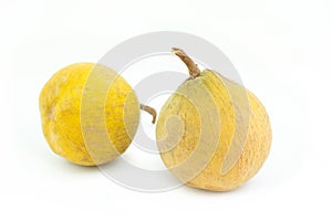 Santol tropical fruit on white