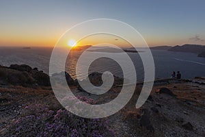 Santorini beautiful sunset over the Caldera, in front of a flowering heathland with stones on a cliff and in the background the