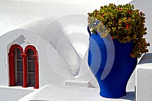 Santorini, Flowers in Blue Urn, Greece