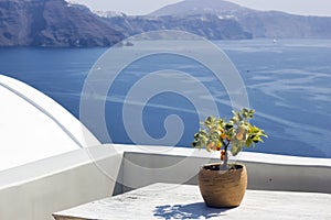 Santorini, Greece: A pot with flower or plant and a plate on a wooden table against beautiful sea ocean background