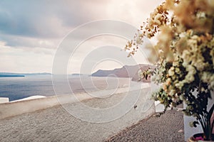 Santorini island Oia sunset landscape. Traditional white houses and blooming bougainvillea with sea view. Greece