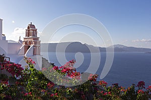 Santorini - Oia, a picturesque pink church tower built at the foot of a caldera, overgrown with pink oleander flowers. in the