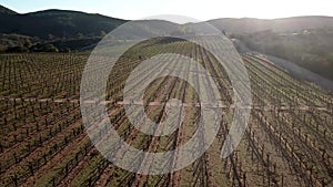 Santos bodegas de Santo Tomas, vineyard farm close to Ensenada