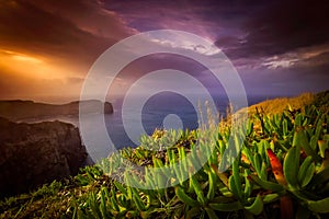 Sao Miguel coastline