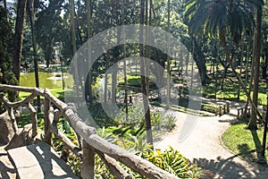 People on Luz Public Park in downtowns Sao Paulo. This is the city's first public park