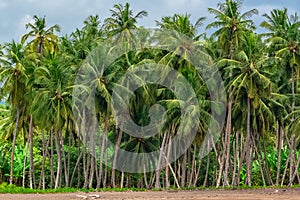 Sao Tome, beautiful landscape