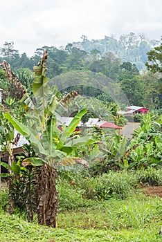 Sao Tome and Principe, landscape