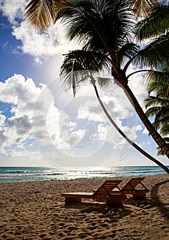 Saona island beach