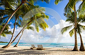 Saona island beach photo