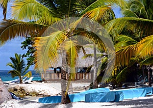 Saona Island Beach, Dominican Republic. photo