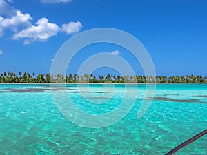 Saona Island Dominican Republic