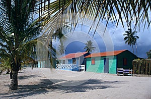 Saona island village palm trees Dominican republic