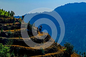 Sapa, Vietnam - Mar 01, 2020: Two farmers are working on terraced fields in the sky gate area.