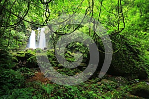 Sapan Waterfall in Khun Nan National Park