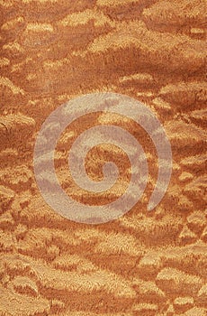 Sapele pomele (wood texture)