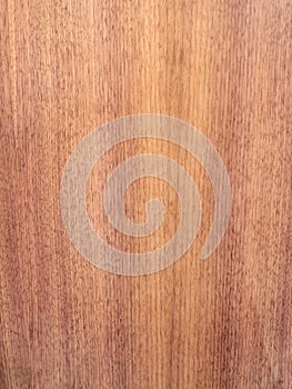 Sapele wood surface as background, wood texture