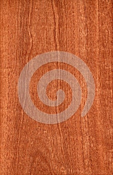 Sapele (wood texture)