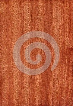 Sapele (wood texture)