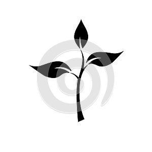 Sapling on the ground, Green Young tree, Plant sapling growing green with 3 leaves in black and white
