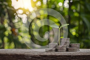 The sapling growing on a pile of coins has a natural, blurry green background.