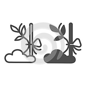 Sapling sprout tied to prop line and solid icon, gardening concept, plant tied to stick vector sign on white background