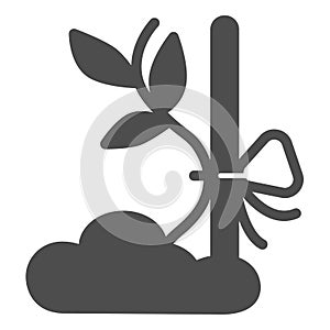 Sapling sprout tied to prop solid icon, gardening concept, plant tied to stick vector sign on white background, glyph