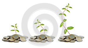 Saplings growing from coins