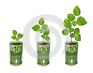 Saplings growing from euro banknotes