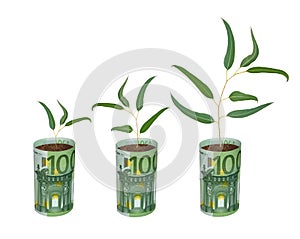 Saplings growing from euro banknotes