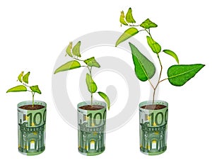 Saplings growing from euro banknotes