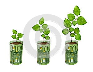 Saplings growing from euro banknotes photo