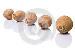 Sapodilla Or Ciku Fruit IV